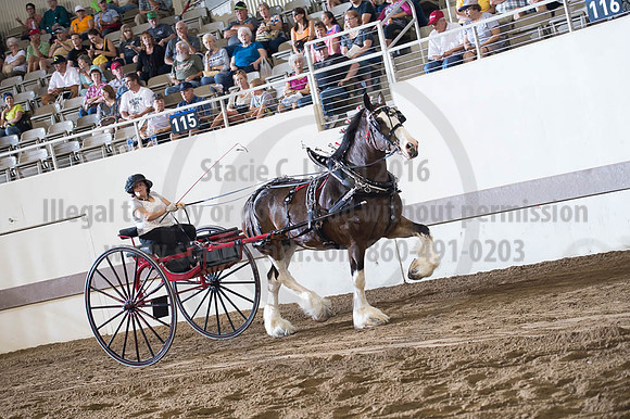 ISF_08162016_SCL_2669