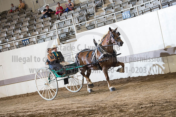ISF_08202016_SCL_7819
