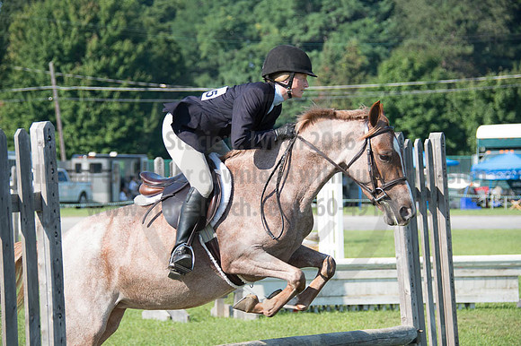 2016DCF_08262016_SCL_0187