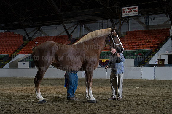 NABC8_10152016_SCL_1843