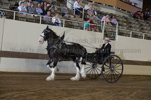 ISF_08162016_SCL_2790