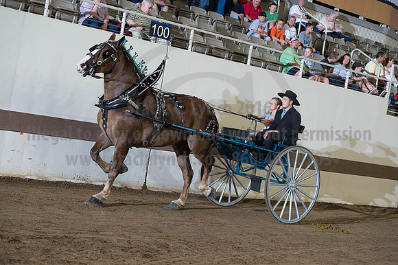 ISF_08202016_SCL_7733