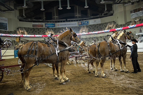 ISF_08202016_SCL_7572