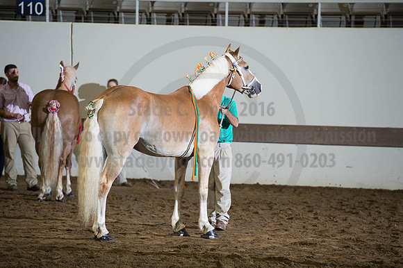 ISF_08192016_SCL_4715