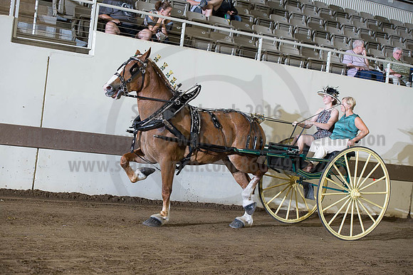ISF_08202016_SCL_7797