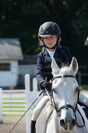 2016DCF_08242016_SCL_8715