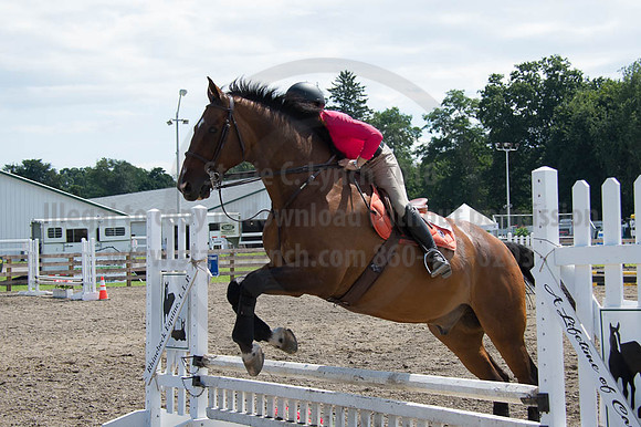 2016DCF_08262016_SCL_0453