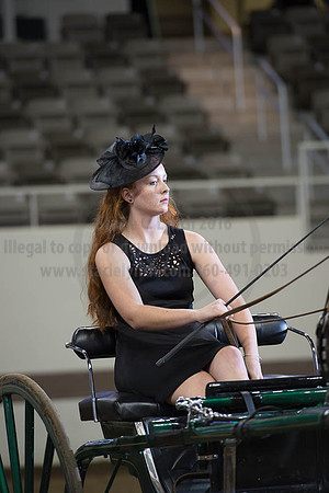 ISF_08202016_SCL_7832