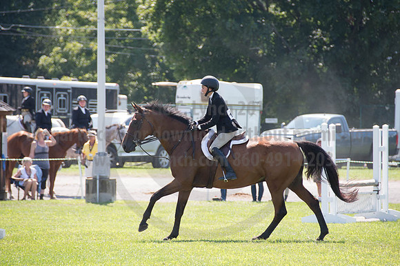 2016DCF_08262016_SCL_0726