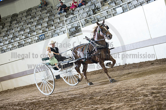 ISF_08202016_SCL_7765