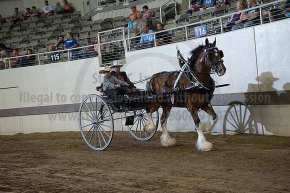 ISF_08142016_SCL_9350