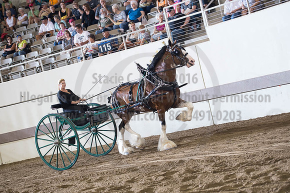 ISF_08162016_SCL_2664