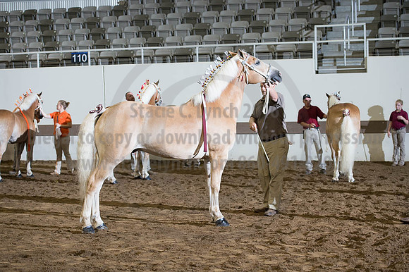 ISF_08192016_SCL_4739