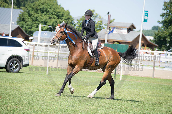 2016DCF_08262016_SCL_0752