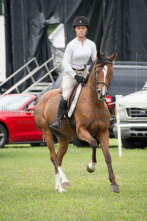 2016DCF_08252016_SCL_0004