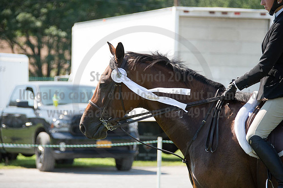 2016DCF_08262016_SCL_0760