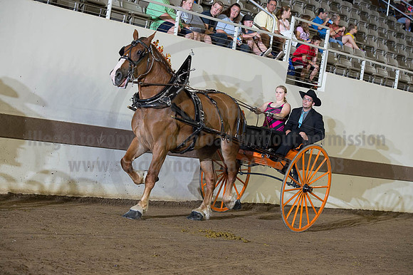 ISF_08202016_SCL_7740