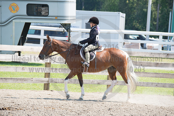 2016DCF_08242016_SCL_8831