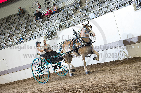 ISF_08202016_SCL_7763