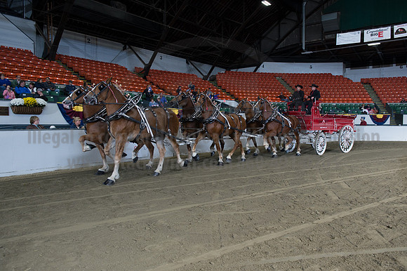NABC8_10142016_SCL_8568