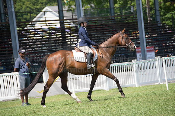 2016DCF_08262016_SCL_0493