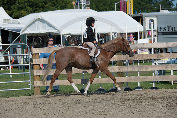 2016DCF_08242016_SCL_8601
