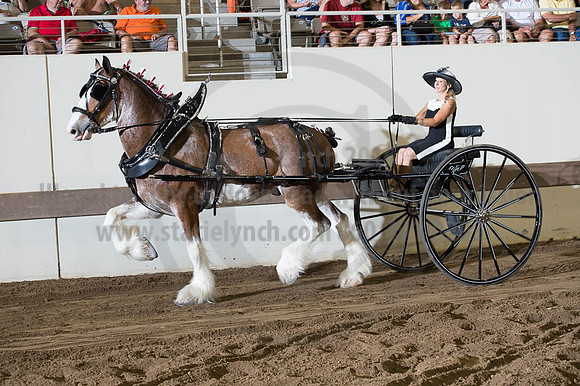 ISF_08162016_SCL_2631