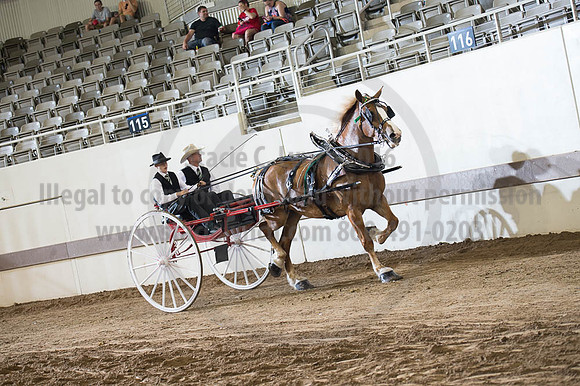 ISF_08202016_SCL_7816