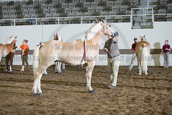 ISF_08192016_SCL_4740