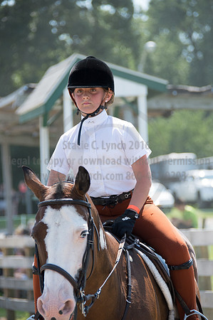 2016DCF_08242016_SCL_9103