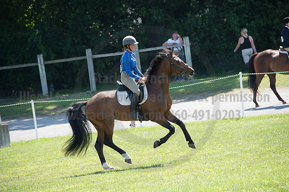 2016DCF_08262016_SCL_0538