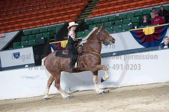NABC8_10142016_SCL_8350