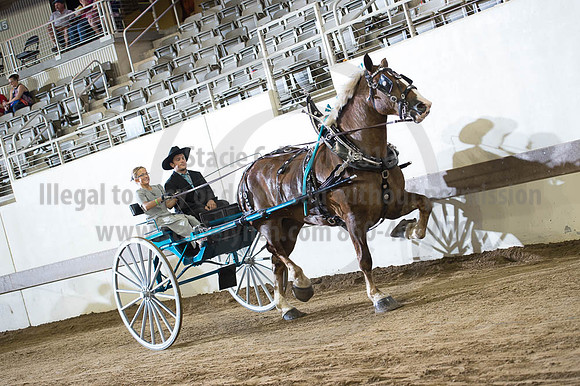 ISF_08202016_SCL_7769