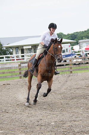 2016DCF_08252016_SCL_0022