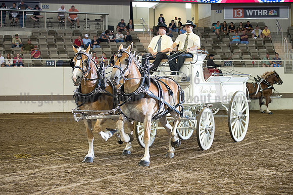 ISF_08202016_SCL_7298