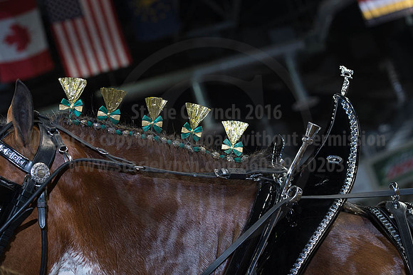 ISF_08162016_SCL_2692