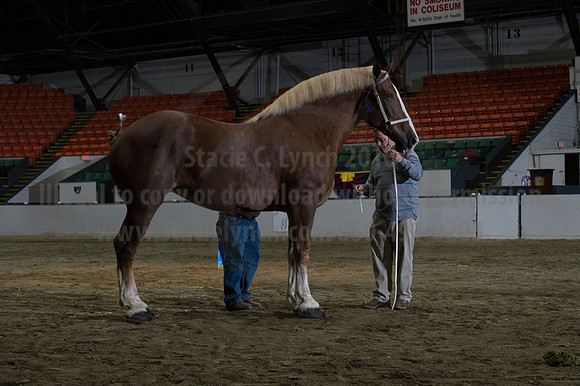 NABC8_10152016_SCL_1845