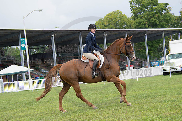 2016DCF_08262016_SCL_0392