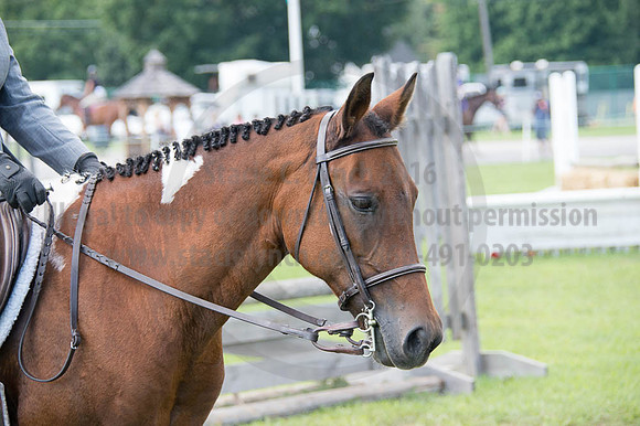 2016DCF_08262016_SCL_0256
