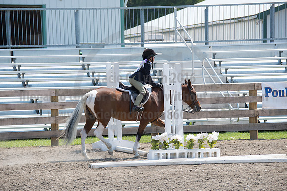 2016DCF_08242016_SCL_8839