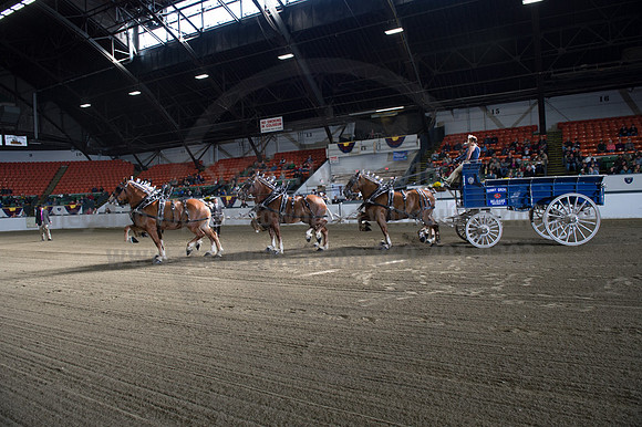 NABC8_10142016_SCL_8533