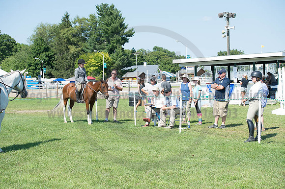 2016DCF_08262016_SCL_0762