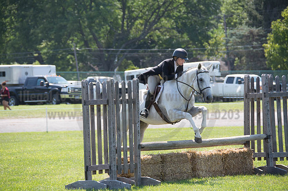2016DCF_08262016_SCL_0702