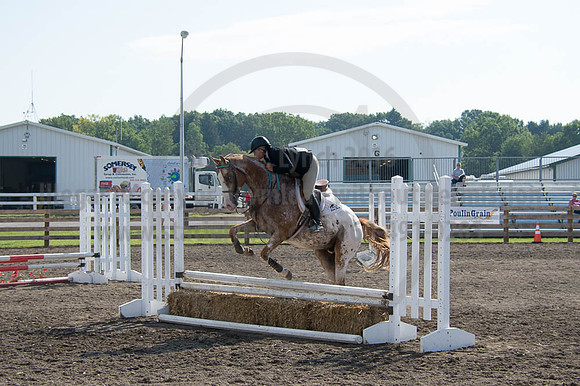 2016DCF_08262016_SCL_0237