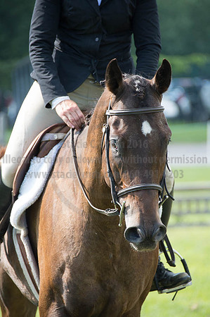 2016DCF_08262016_SCL_0263