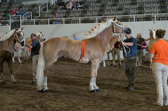 ISF_08192016_SCL_4805