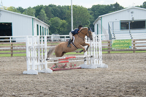 2016DCF_08262016_SCL_0431