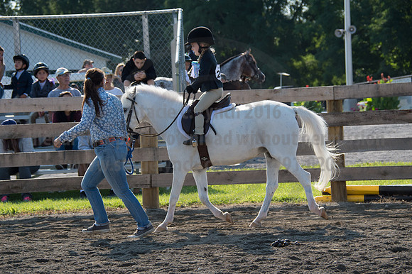 2016DCF_08242016_SCL_8444