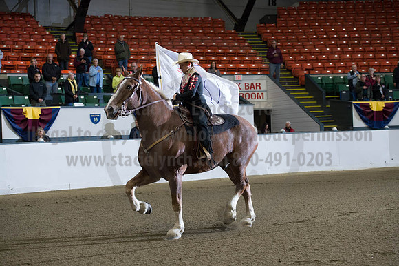 NABC8_10112016_SCL1493