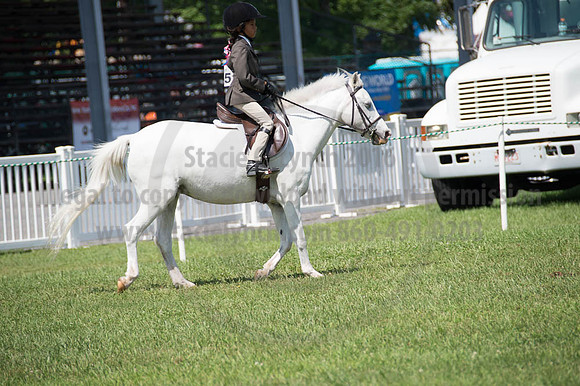 2016DCF_08262016_SCL_0492